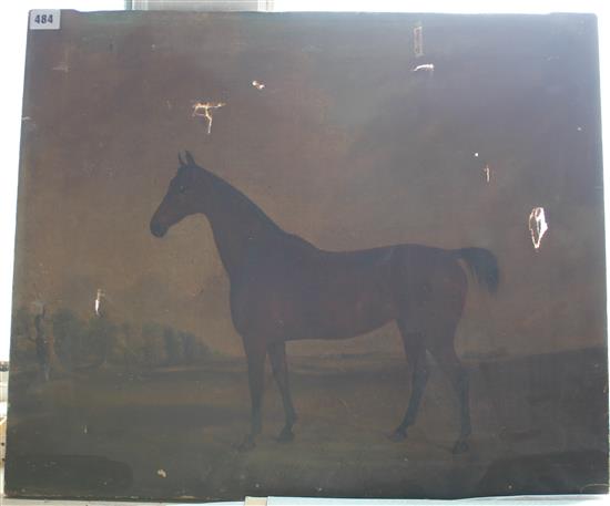 Oil on canvas of a horse